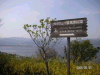 s_pict0123_thumb.png